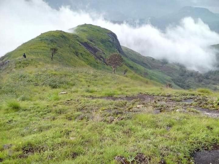 Jungle Retreat Natural Stay Kombaikadu Kodaikanal Eksteriør billede